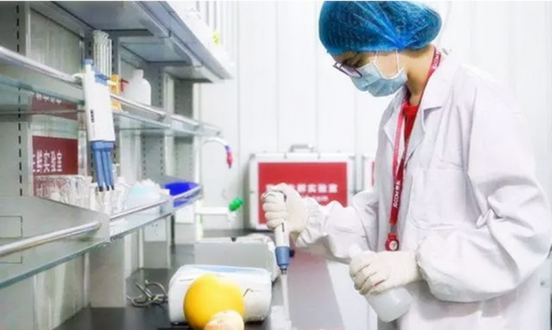 报告：食品安全或成生鲜电商未来话语权