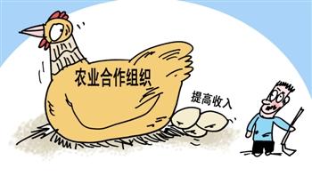 经典！未来合作社将这样发展。。。