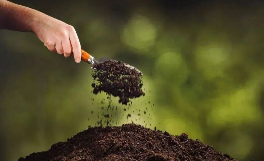 【农资行业】走出“菌肥”十大误区，农资人、种植户必读！