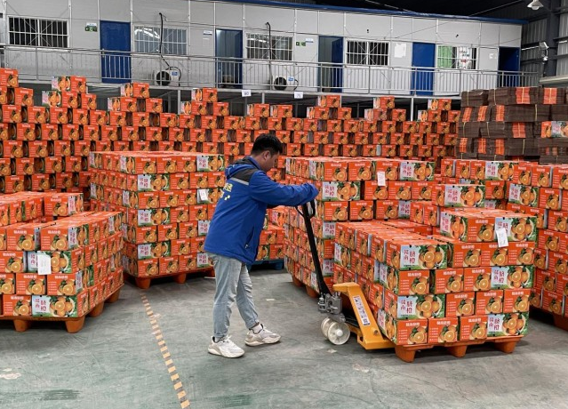 惠农、扶农、助农!激战双十一，德邦快递准备这么干（以赣南脐橙为例）
