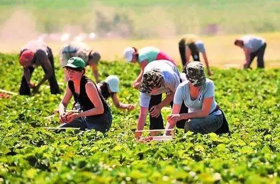 【世界农业案例】德国乡村多元化发展对我国乡村振兴的启示