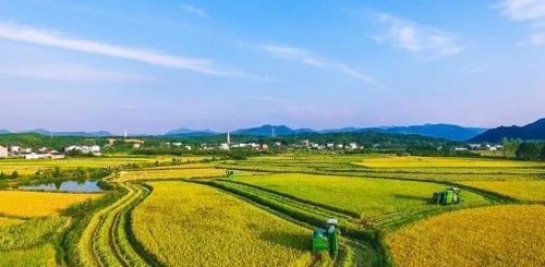 【乡村振兴】全国16个整村运营经典案例
