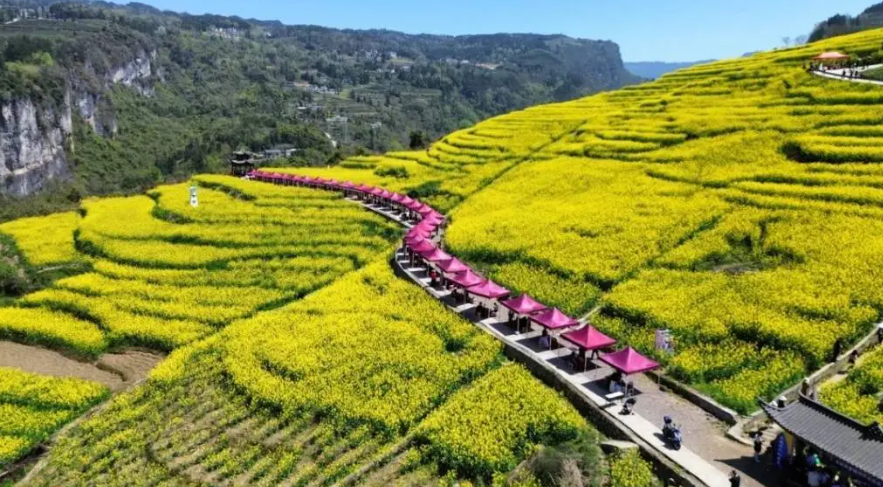 【实战分享】乡村全域旅游的开发模式新思考