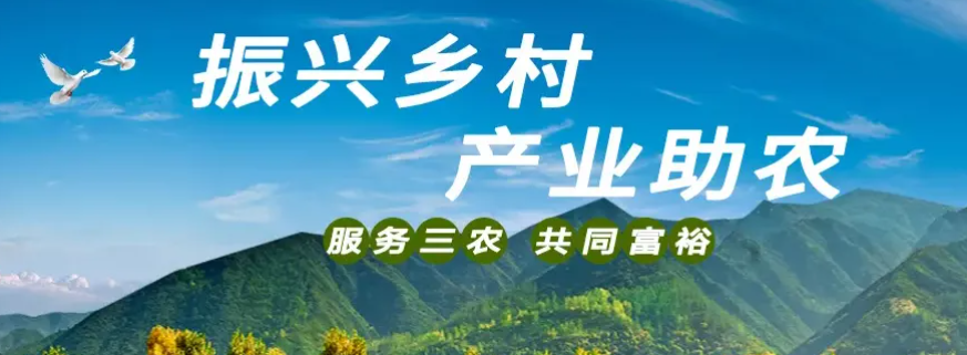 【乡村振兴】2024乡村振兴项目资金申报指南