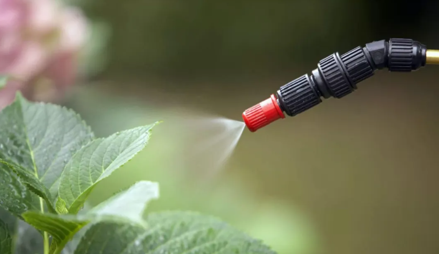 【知识分享】生物农药有哪些？如何辨别？