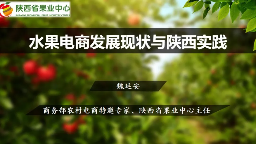 【生鲜行业】28张PPT解读：水果电商发展现状与陕西实践