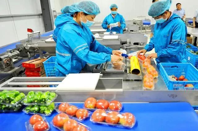 产业透视！农产品加工模式：粮去壳、菜去帮、果去皮等的深度解读（附8大模式）