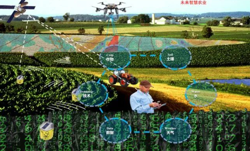 【智慧农业】赵春江院士：实现农业自主无人化关键是什么？