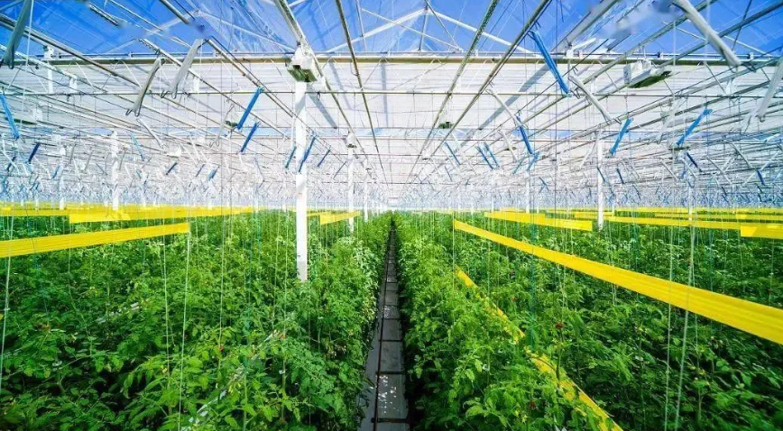 中央文件指引下的农业数字化之路
