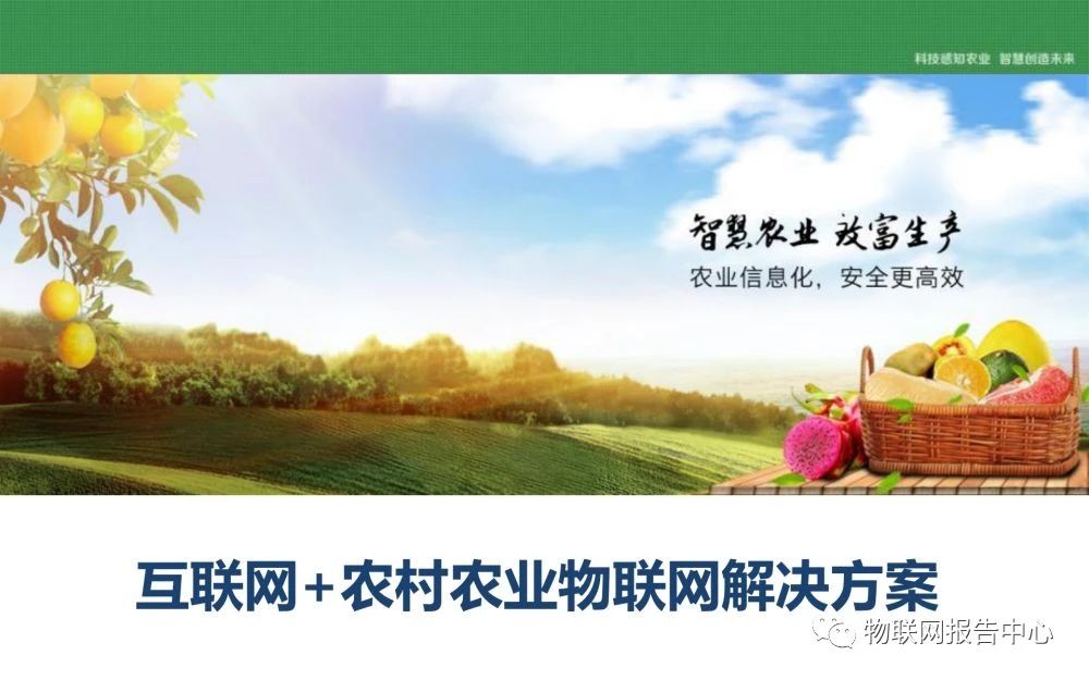 【PPT资料】互联网+农村农业物联网解决方案